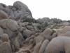 9883 - 20201122 Joshua Tree NP