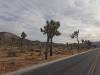 9885 - 20201122 Joshua Tree NP