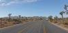 9888 - 20201122 Joshua Tree NP