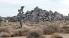 9891 - 20201122 Joshua Tree NP