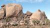 9893 - 20201122 Joshua Tree NP