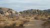 9898 - 20201122 Joshua Tree NP
