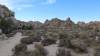 9910 - 20201122 Joshua Tree NP