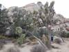 9911 - 20201122 Joshua Tree NP