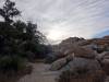 9915 - 20201122 Joshua Tree NP
