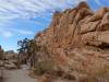 9916 - 20201122 Joshua Tree NP