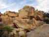 9928 - 20201122 Joshua Tree NP