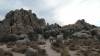 9931 - 20201122 Joshua Tree NP