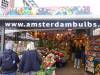 4017 - 20211016 Amsterdam Day4