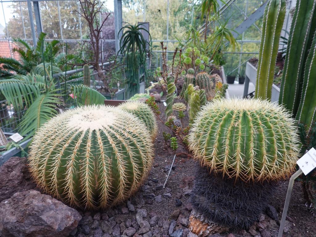 5413 - 20211017 Leiden Botanical Garden Observatory