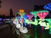107 - 20211113 Dubai Glow Park