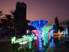 108 - 20211113 Dubai Glow Park