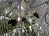 109 - 20211114 Dubai Butterfly Garden