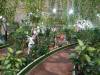 110 - 20211114 Dubai Butterfly Garden
