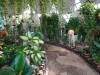 115 - 20211114 Dubai Butterfly Garden