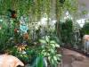 116 - 20211114 Dubai Butterfly Garden