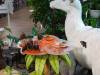 119 - 20211114 Dubai Butterfly Garden