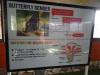 127 - 20211114 Dubai Butterfly Garden