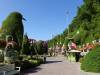 103 - 20211114 Dubai Miracle Garden
