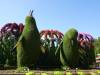 104 - 20211114 Dubai Miracle Garden