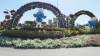 116 - 20211114 Dubai Miracle Garden