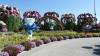 117 - 20211114 Dubai Miracle Garden