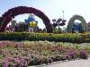 118 - 20211114 Dubai Miracle Garden