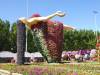 119 - 20211114 Dubai Miracle Garden