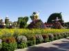 122 - 20211114 Dubai Miracle Garden