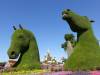 123 - 20211114 Dubai Miracle Garden