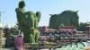 126 - 20211114 Dubai Miracle Garden