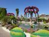 129 - 20211114 Dubai Miracle Garden