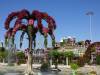 130 - 20211114 Dubai Miracle Garden