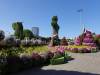 132 - 20211114 Dubai Miracle Garden