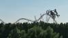133 - 20211114 Dubai Miracle Garden