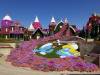 135 - 20211114 Dubai Miracle Garden