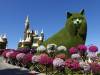 138 - 20211114 Dubai Miracle Garden