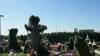 140 - 20211114 Dubai Miracle Garden