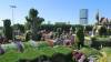 142 - 20211114 Dubai Miracle Garden