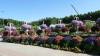 143 - 20211114 Dubai Miracle Garden