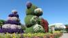144 - 20211114 Dubai Miracle Garden