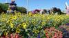 145 - 20211114 Dubai Miracle Garden
