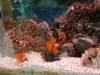 103 - 20220612 Cabrillo Marine Aquarium