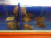 112 - 20220612 Cabrillo Marine Aquarium