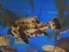 114 - 20220612 Cabrillo Marine Aquarium