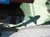 119 - 20220612 Cabrillo Marine Aquarium