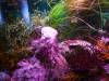123 - 20220612 Cabrillo Marine Aquarium
