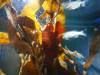 124 - 20220612 Cabrillo Marine Aquarium