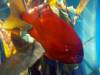 125 - 20220612 Cabrillo Marine Aquarium