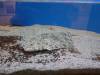 129 - 20220612 Cabrillo Marine Aquarium